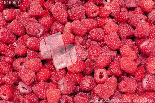 Image of red raspberry