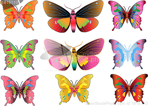 Image of set of different multicolored butterflies - vector