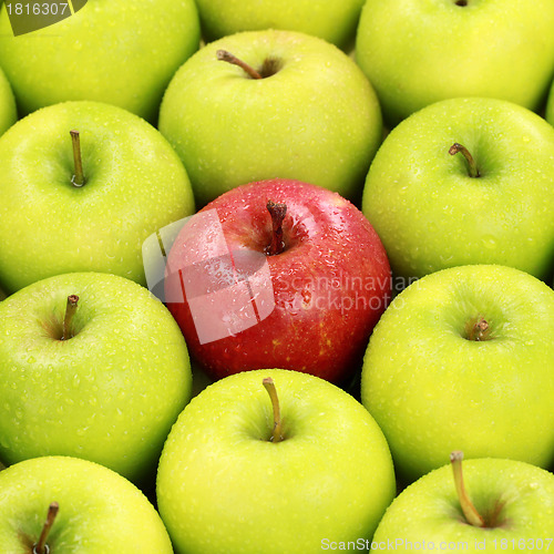 Image of Lonesome red apple