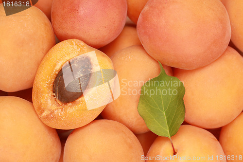 Image of Apricots