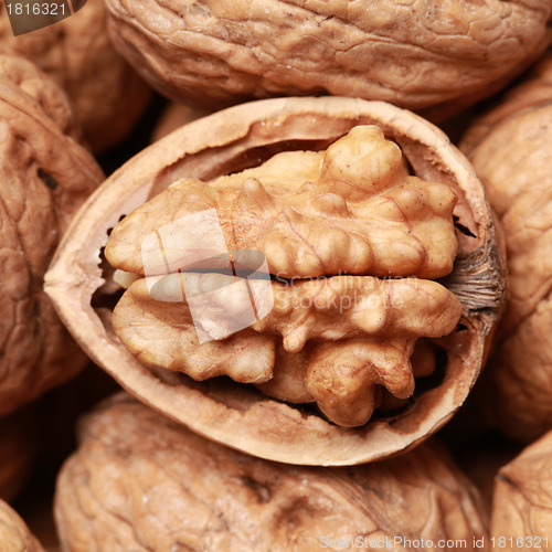 Image of Walnuts