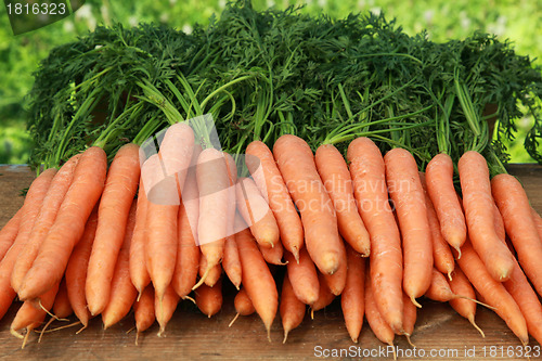 Image of Fresh carrots