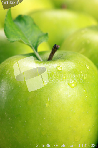 Image of Green apples