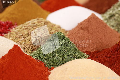 Image of Spices and herbs