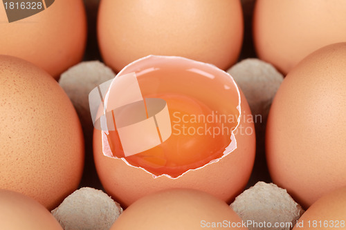 Image of Brown eggs