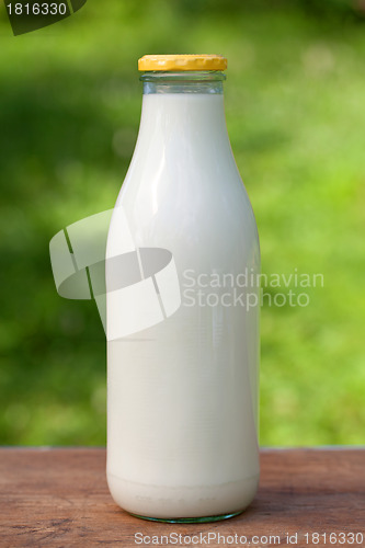 Image of Fresh Milk
