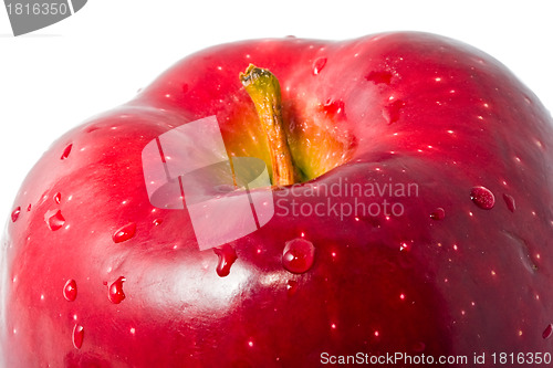 Image of Apple