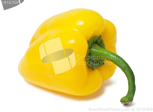 Image of Bell pepper