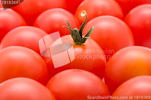 Image of Tomato