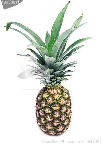 Image of Pineapple