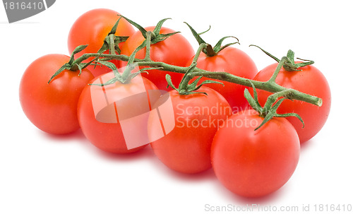 Image of Tomato