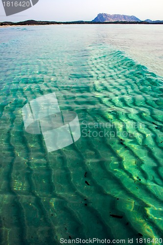 Image of Wave in the sea