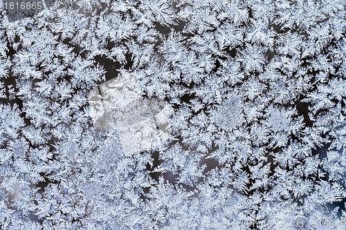 Image of Frost pattern