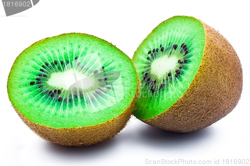 Image of Kiwi
