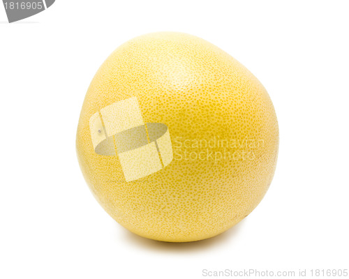 Image of Pomelo