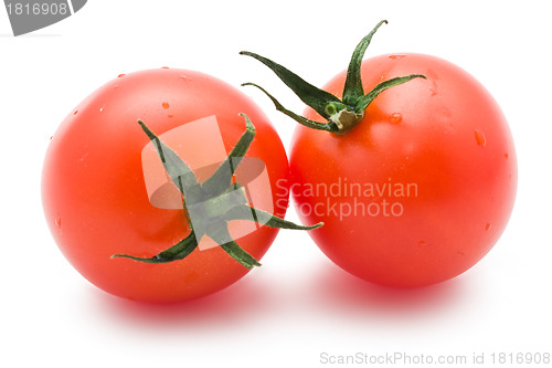 Image of Tomatoes