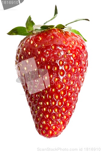 Image of Fresh strawberry