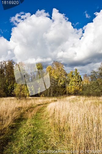 Image of Autumn