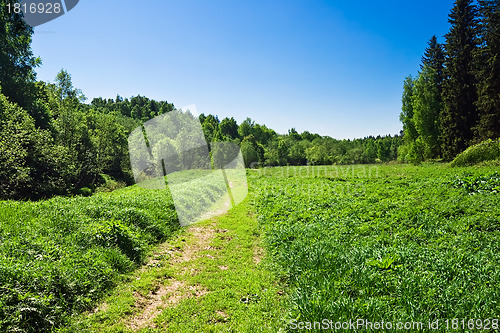 Image of Meadow