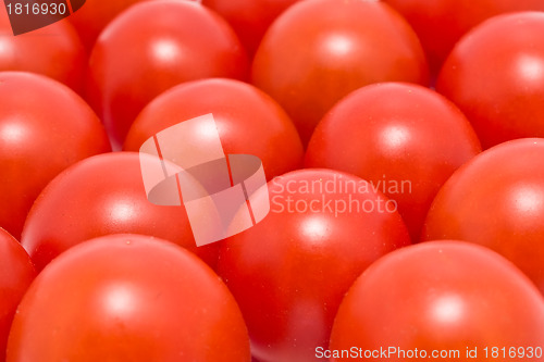 Image of Tomatoes