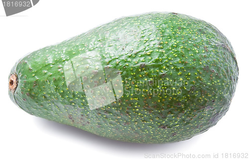 Image of Avocado