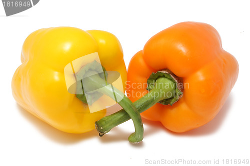 Image of Pepper