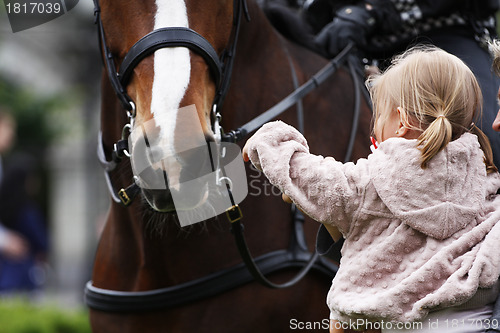 Image of Padding police horse