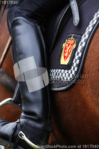 Image of Police horse