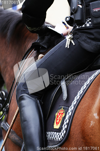 Image of Police horse