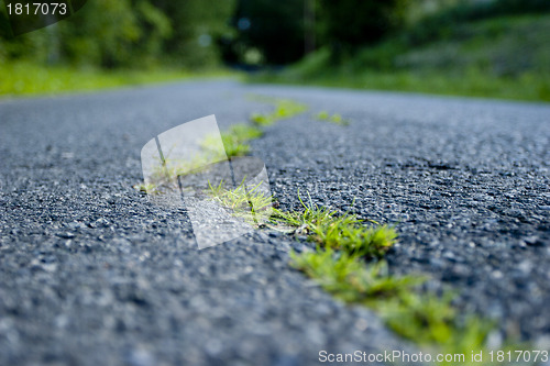 Image of Cracked road