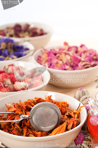 Image of Herbal natural floral tea infusion with dry flowers