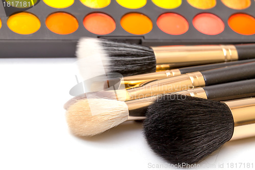 Image of Set of Multicolored Eyeshadows with Brushes