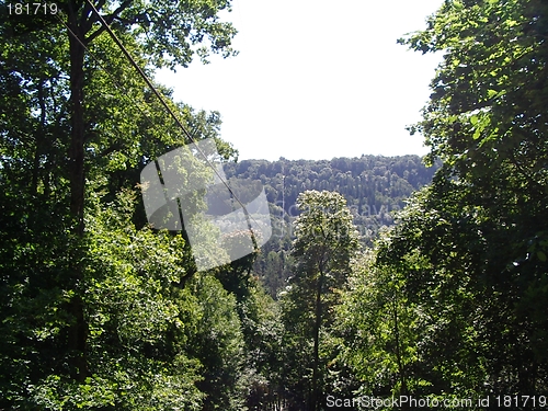 Image of nature