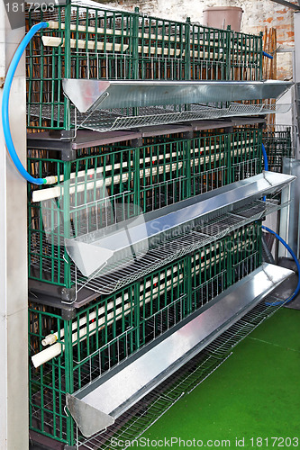 Image of Chicken cages