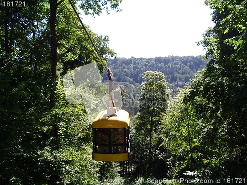 Image of forest and train