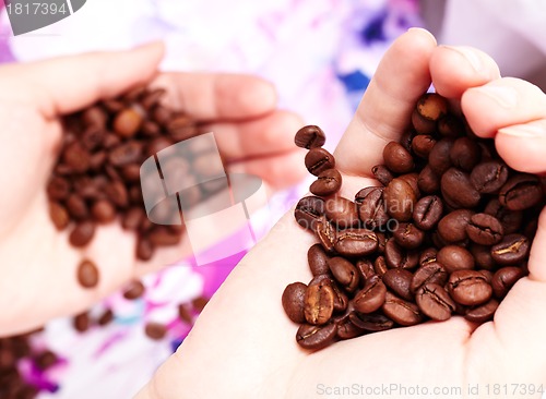 Image of Coffee beans in hands