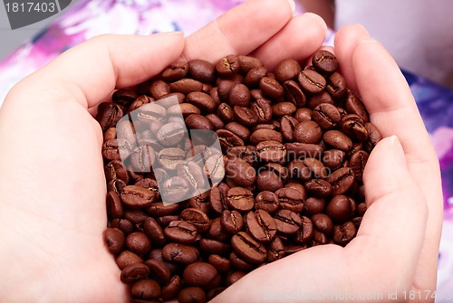 Image of Coffee beans in hands