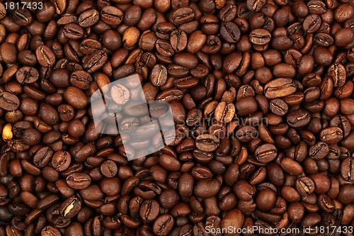 Image of Coffee beans background