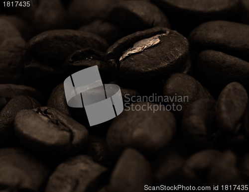 Image of Coffee beans sepia