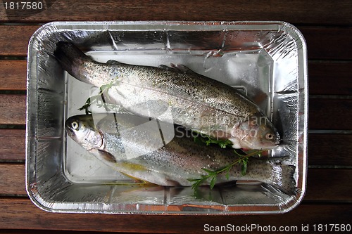 Image of raw trout fish 