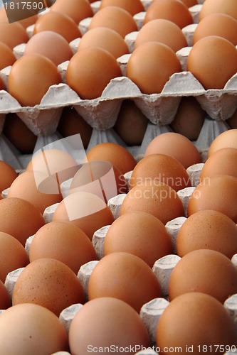 Image of fresh eggs 