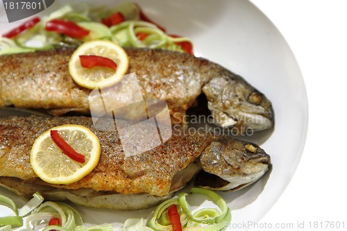Image of grilled trout fish