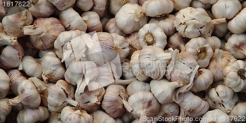 Image of garlic background