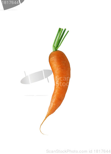 Image of Carrot isolated on white