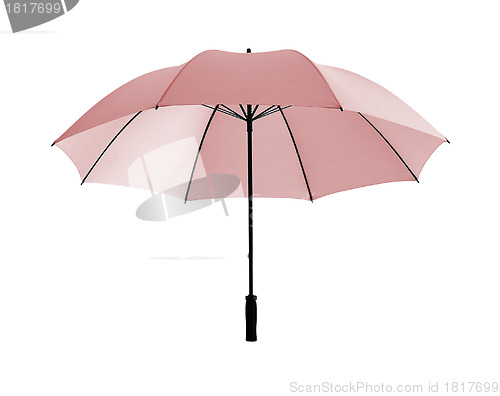 Image of Pink umbrella