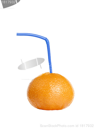 Image of Tangerine with tubule isolated on white