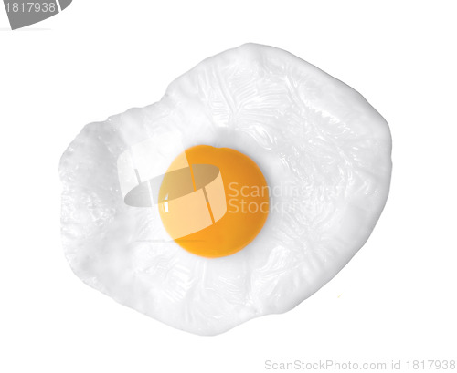 Image of close up shot of a fried egg