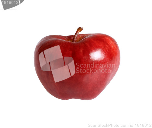 Image of Sweet ripe red apple isolated on white background