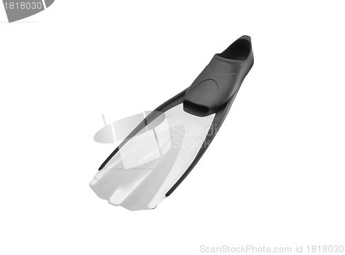 Image of Flippers isolated on the white background