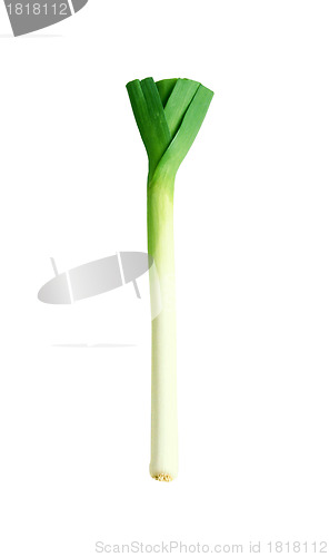 Image of Green onion isolated on white